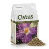 Bio Cistus Incanus Tea